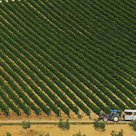 Le Calle Lejlighed *