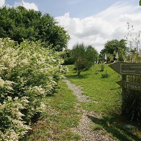 Le Calle * Cinigiano