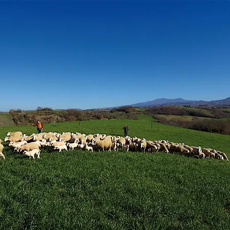 Le Calle Lejlighed *